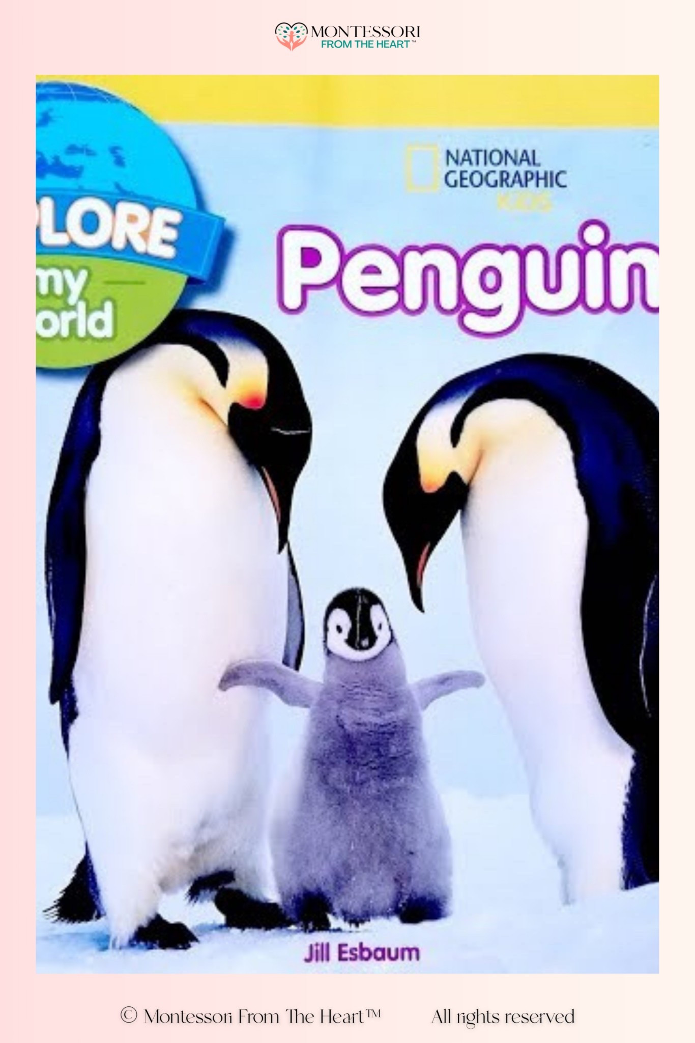 Penguins ~ Explore My World ~ National Geographic Kids Book

#LTKKids #LTKstorytime #LTKHome