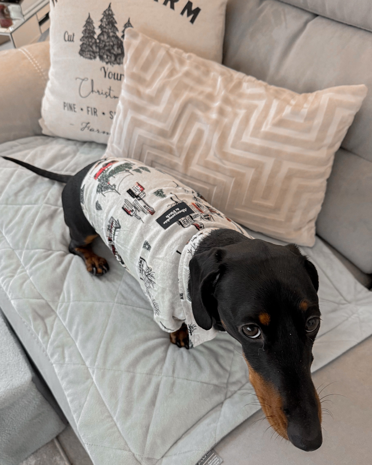 Jerrys matching A&F Christmas shirt 🎄 fair to say this is going to be his Christmas Day outfit 🤍 

#LTKuk #LTKCyberWeek #LTKgiftguide