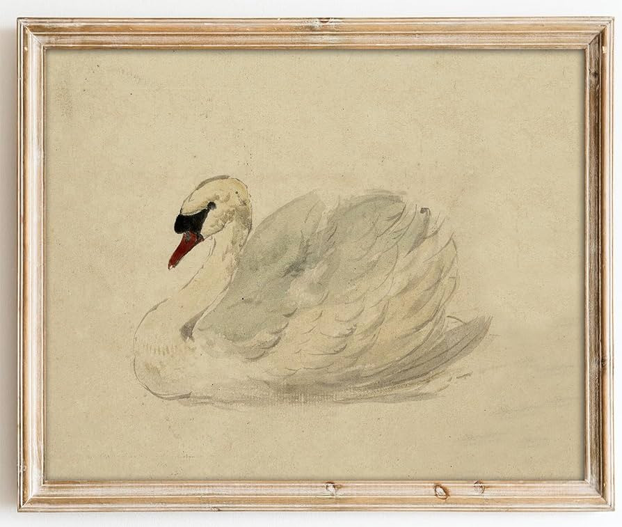 Kizbok Vintage Wall Art Decor Classical Swan Canvas Prints Farmhouse Wall Decor Rustic Watercolor... | Amazon (US)