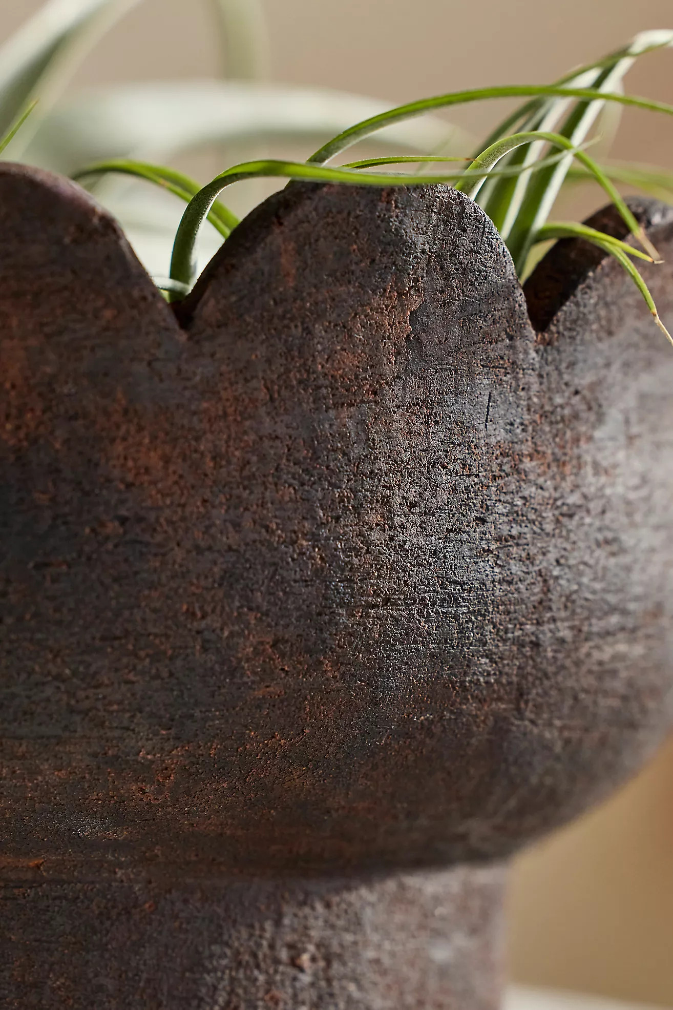Scallop Edge Terracotta Bowl Planter | Terrain