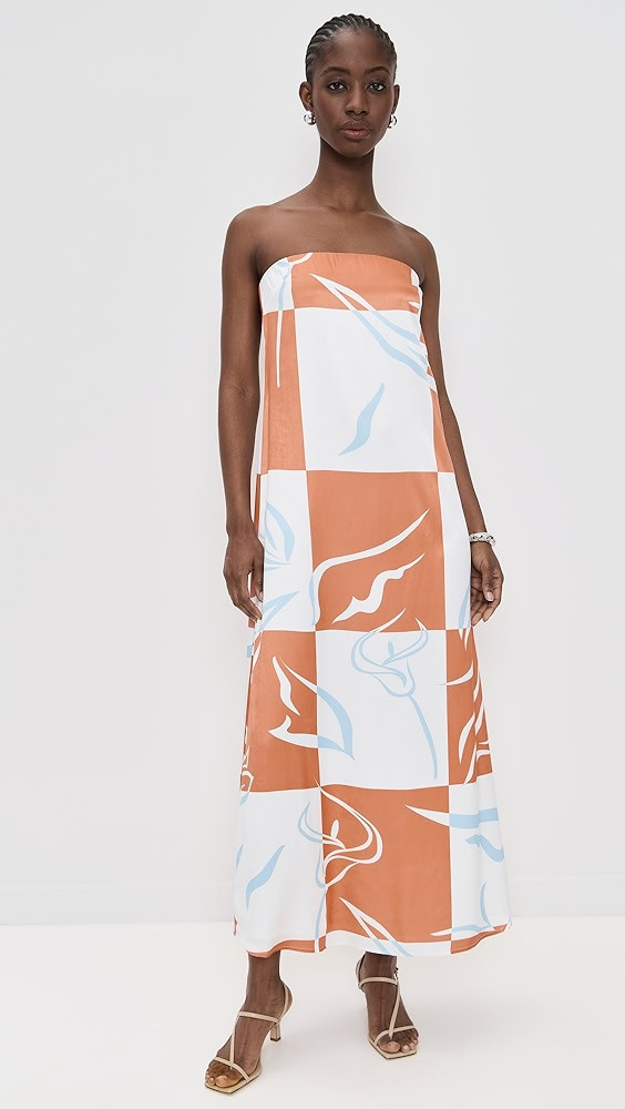 Delaney Strapless Maxi Dress | Shopbop