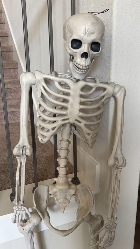 Halloween DIY! Just get a posable 60” skeleton, unscrew extremities, then hot glue florals of your choice on! Such an original and quick DIY Halloween project. Perfect for those wanting a goth/haunted mansion/romantic Halloween vibe. Change the colors to fit your style and esthetic. #halloween2023 #uniquehalloweenideas #halloweendiy #floralskeleton

#LTKunder50 #LTKSeasonal