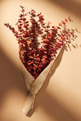 Dried Eucalyptus Bouquet | Anthropologie (US)