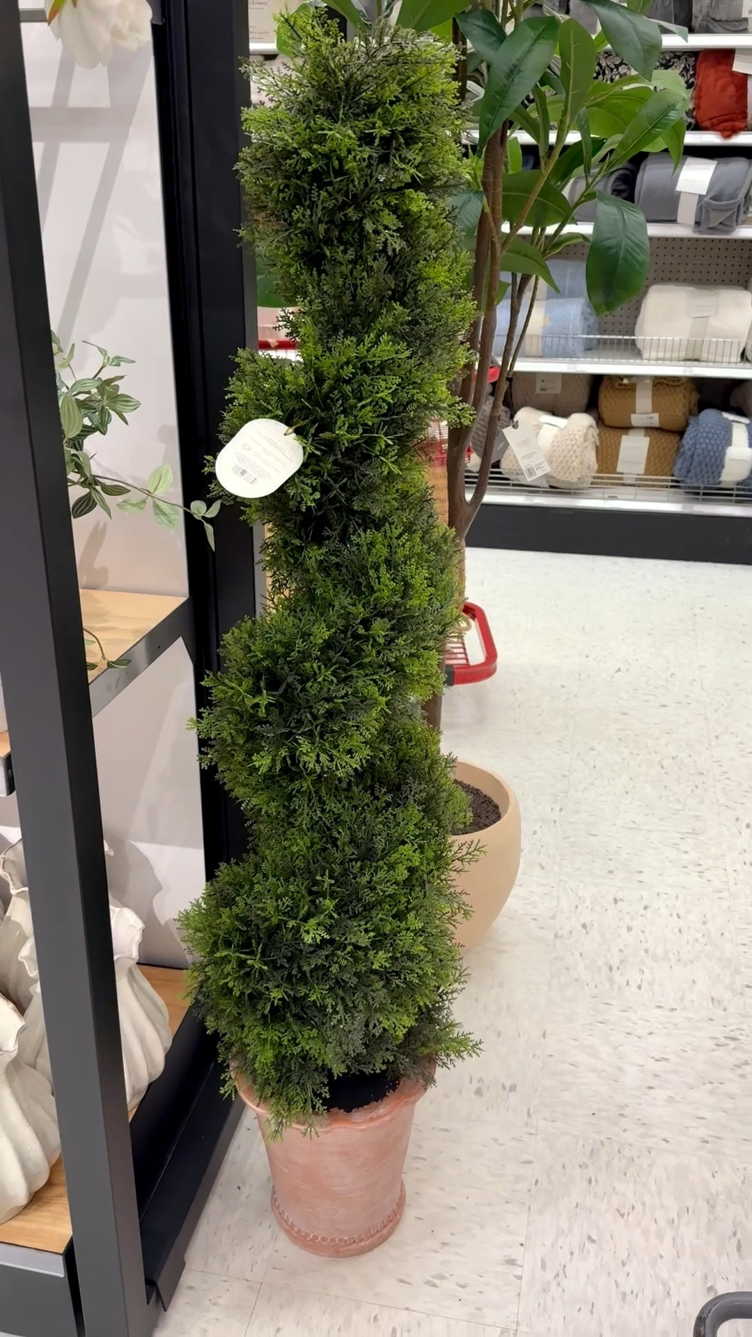 This came home with me!