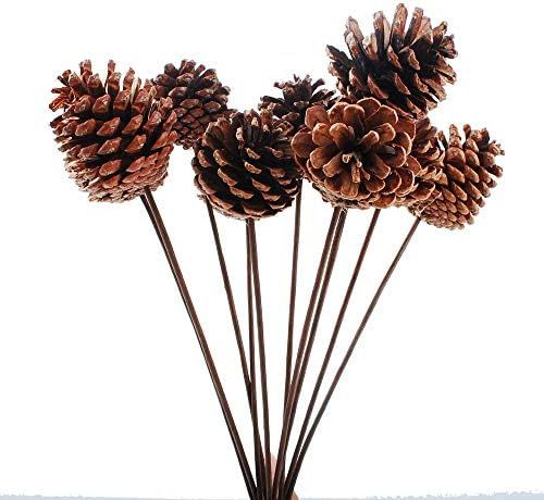 NWFashion NWFashion 10PCS 2INCH Natural Dried Pinecones Pods DIY Stick Stems | Amazon (US)