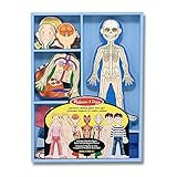 Amazon.com: Melissa & Doug Magnetic Human Body Anatomy Play Set With 24 Magnetic Pieces and Stora... | Amazon (US)