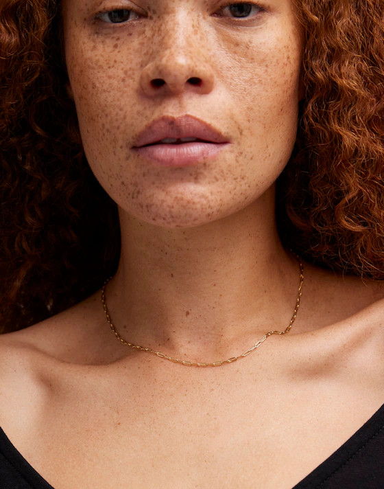 Demi-Fine Paperclip Chain Necklace | Madewell | Madewell