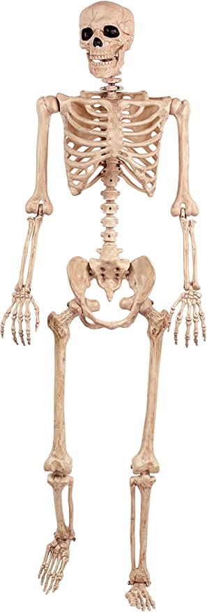 Amazon.com: Crazy Bonez Pose-N-Stay Skeleton : Home & Kitchen | Amazon (US)