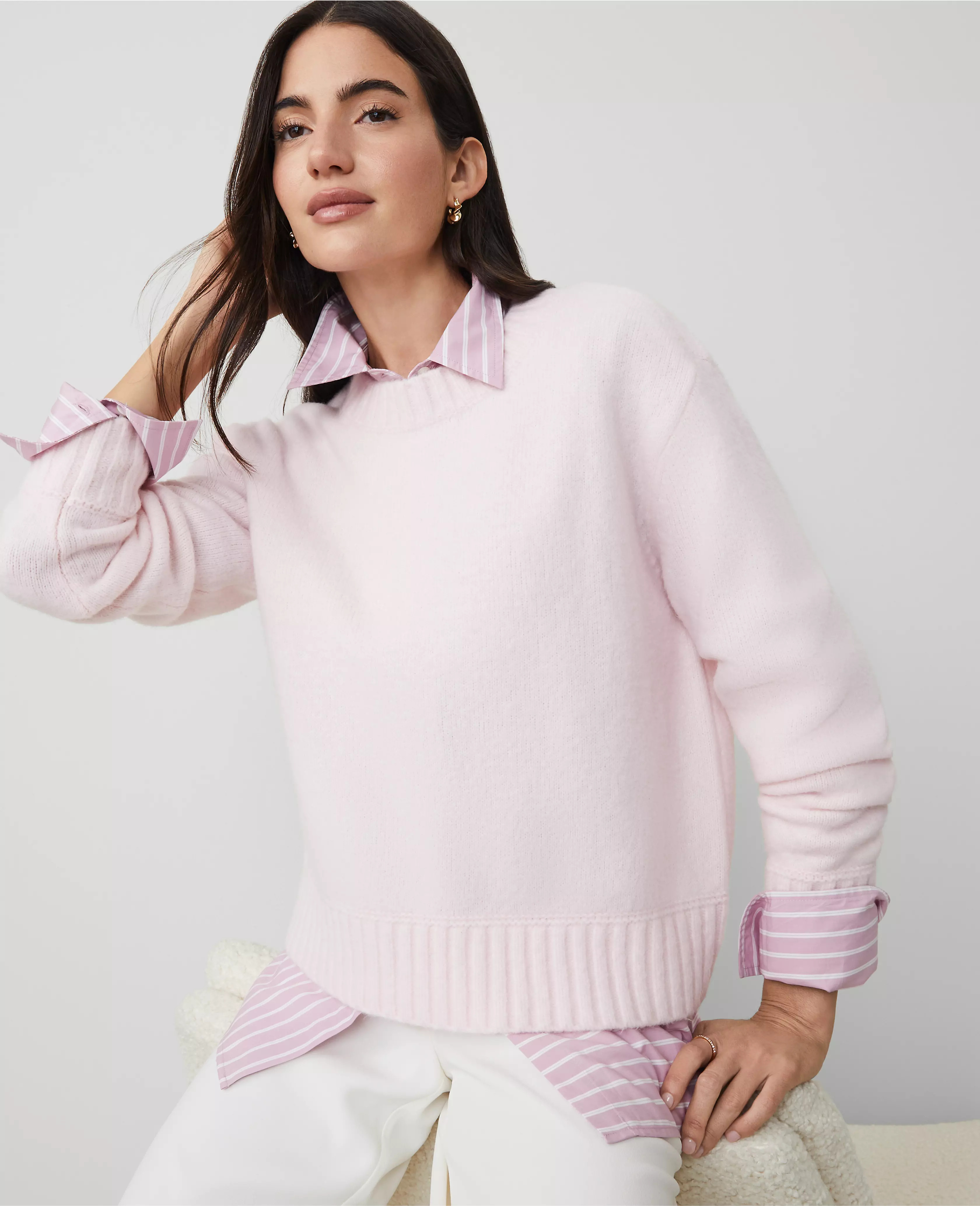 Cozy Crew Neck Sweater | Ann Taylor