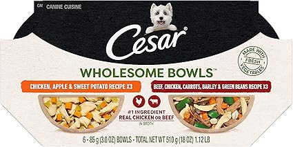 CESAR WHOLESOME BOWLS Adult Soft Wet Dog Food Variety Pack, Beef, Chicken, Carrots, Barley & Gree... | Amazon (US)