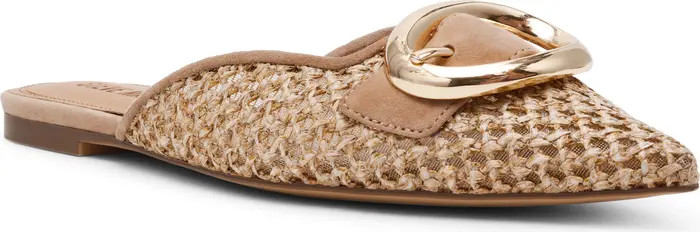 Steve Madden Ira Pointed Toe Mule (Women) | Nordstrom | Nordstrom