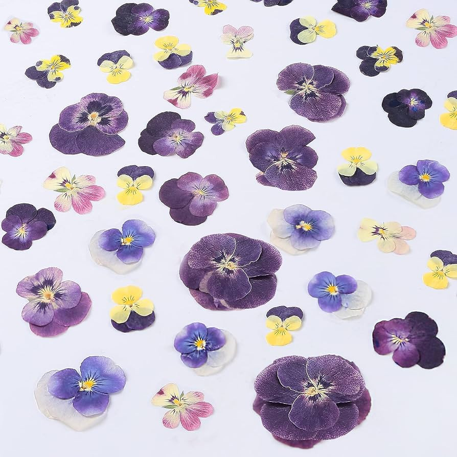48 Pcs Mix Natural Dried Pressed Flowers for Cake Decorating, Real Dry Flower for Resin Jewelry M... | Amazon (US)