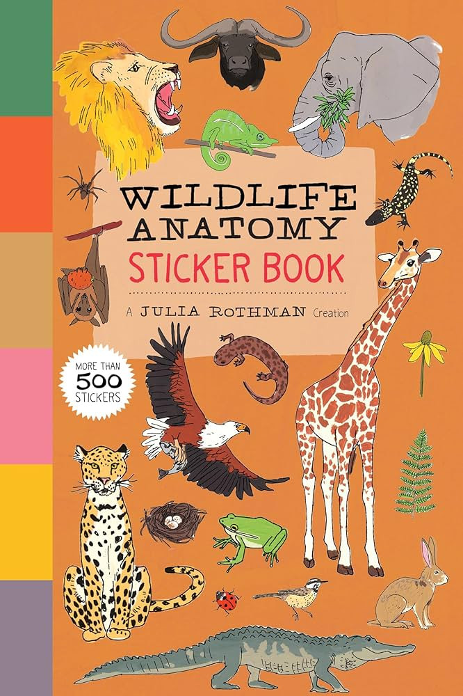 Wildlife Anatomy Sticker Book: A Julia Rothman Creation: More than 500 Stickers | Amazon (US)