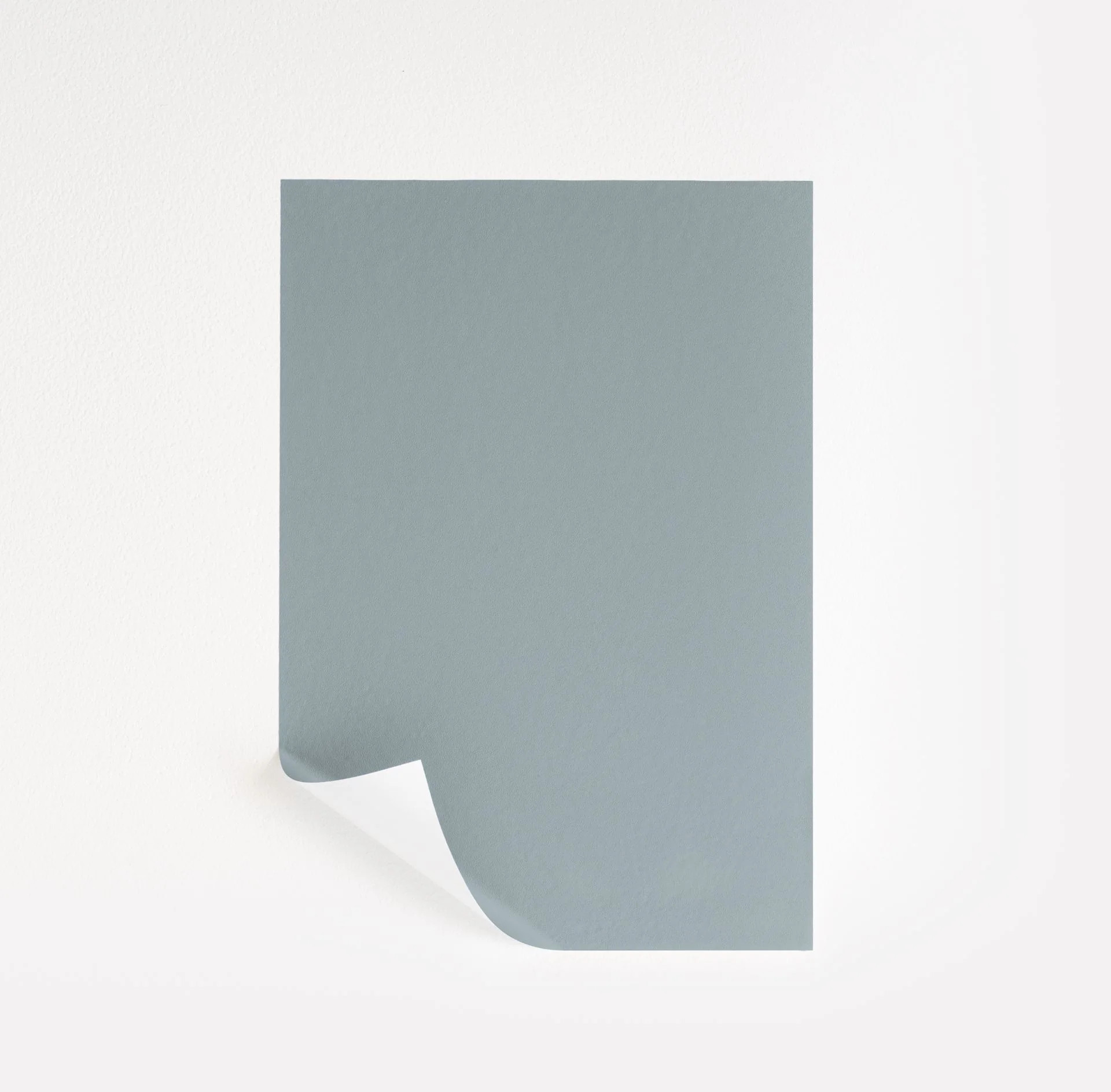 Nimbus Gray Paint Sample by Benjamin Moore (2131-50) | Peel & Stick Paint Sample | Samplize