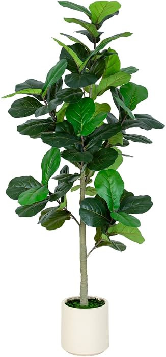 6FT Fiddle Leaf Fig Artificial Tree with White Planter Pot,Faux Floor Plant, Indoor and Outdoor F... | Amazon (US)