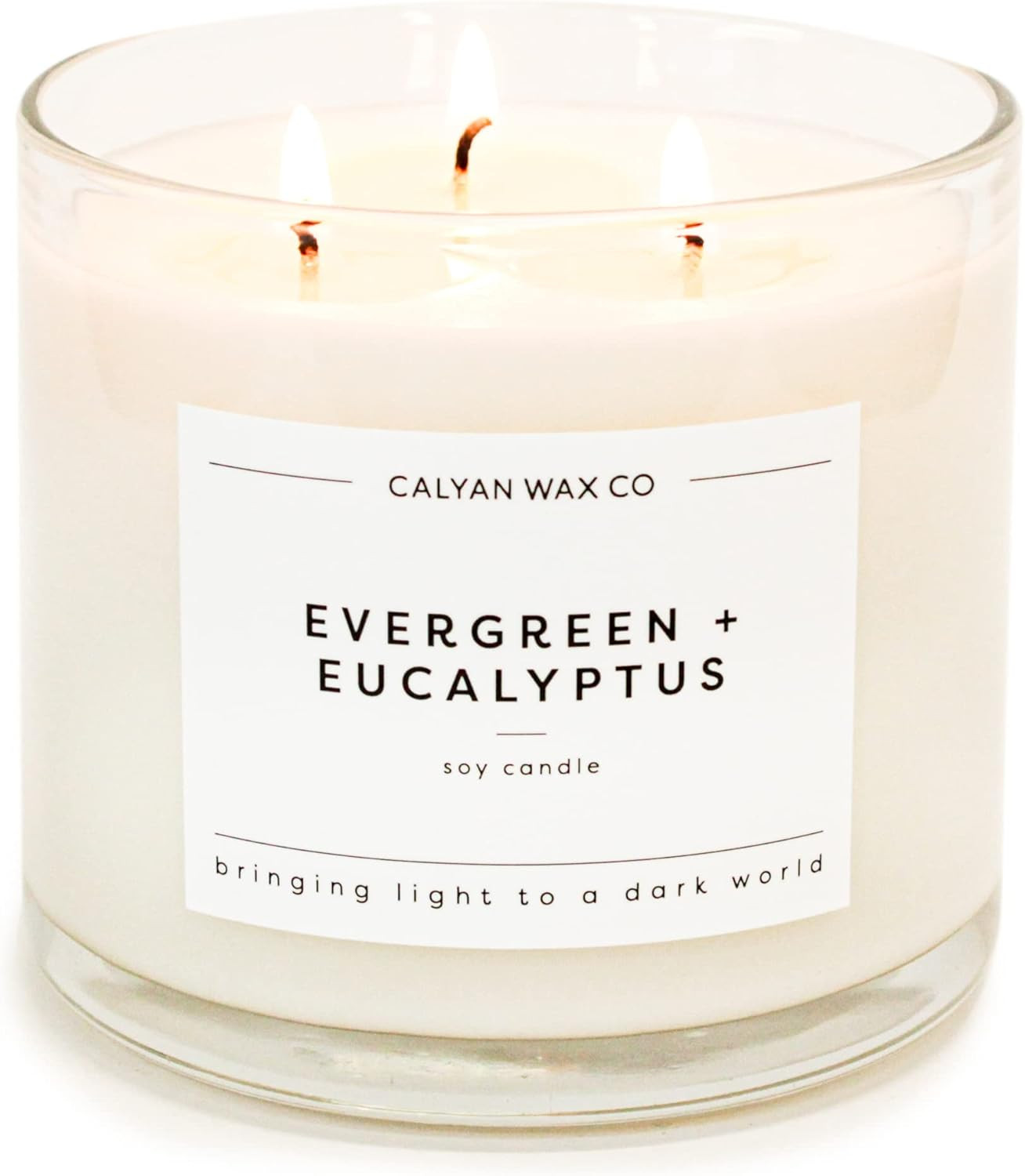Calyan Wax Soy Wax Candle, Evergreen Eucalyptus, 3 Wick Scented Candle for The Home | Premium Can... | Amazon (US)