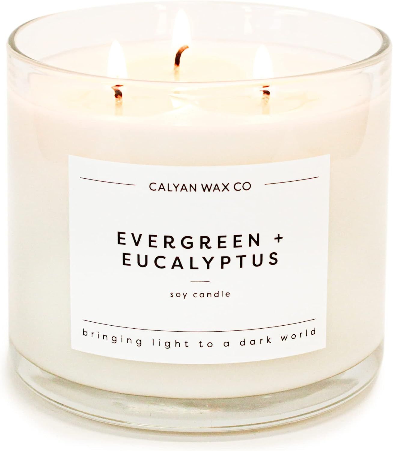 Calyan Wax Soy Wax Candle, Evergreen Eucalyptus, 3 Wick Scented Candle for The Home | Premium Can... | Amazon (US)