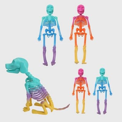4ct Skeleton with Dog Skeleton - Bullseye&#39;s Playground&#8482; | Target