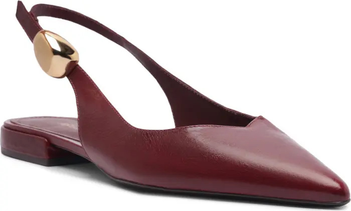 Arezzo Farrah Slingback Pointed Toe Flat (Women) | Nordstrom | Nordstrom