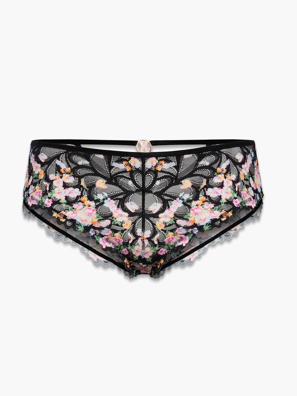 Savage Not Sorry Lace Cheeky Panty | Savage x Fenty - North America