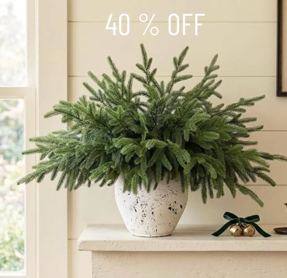 Christmas greenery on sale

faux Christmas greenery
artificial holiday plants
mini tabletop trees
festive potted greenery
faux poinsettia arrangements
holiday floral stems
artificial pine branches
winter greenery decor
Christmas topiary trees
seasonal faux botanicals

#LTKSeasonal #LTKHome #LTKSaleAlert
