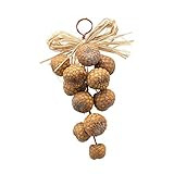 Creative Co-Op 4" L x 4" W x 9" H Dried Pod Cluster Ornaments, Multi | Amazon (US)