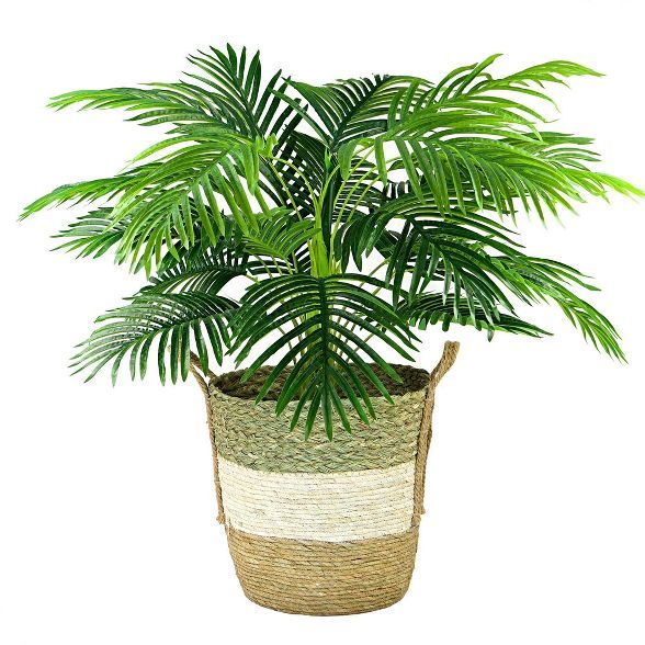 42" x 28" Artificial Palm Plant in Basket - LCG Florals | Target