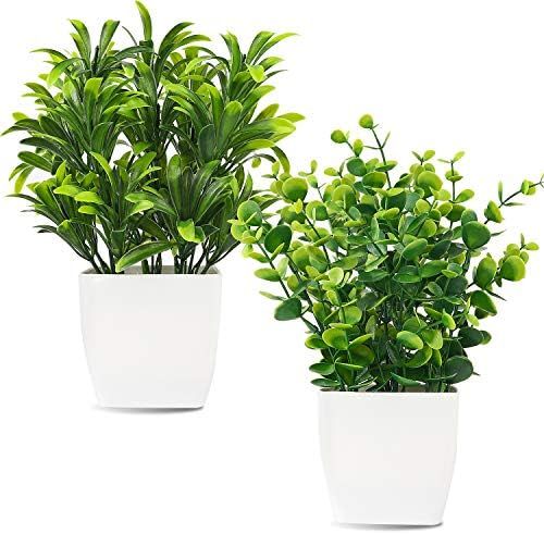 Amazon.com: Whonline 2pcs Artificial Mini Potted Plants Fake Plastic Eucalyptus Leaves Plants for... | Amazon (US)