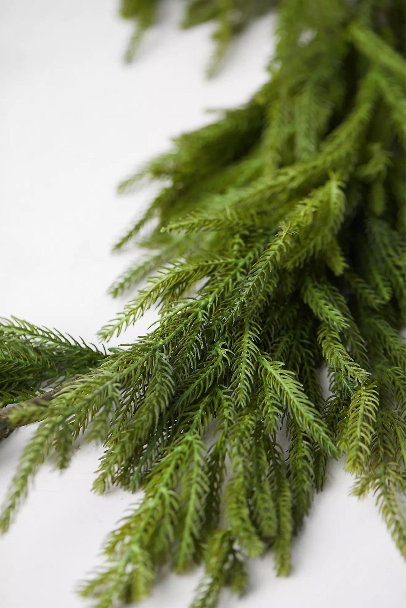 You know that drapery pine garland that sells out lightning fast every holiday season? I found it in two locations. Hurry before it sells out.

#LTKhome #LTKSeasonal #LTKHoliday