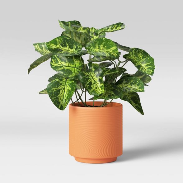 Embossed Oval Planter Terracotta - Project 62™ | Target