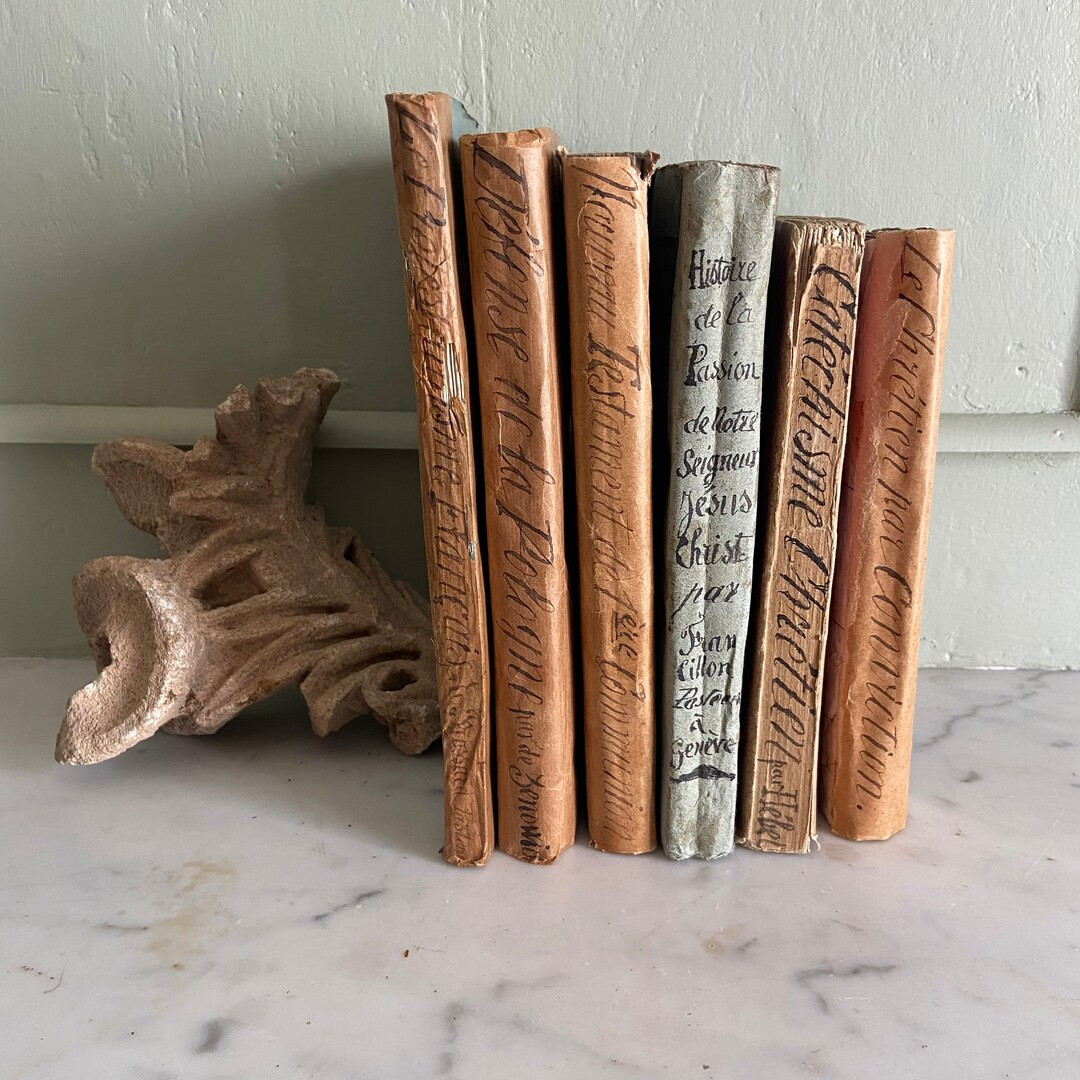 A Set of Antique French Books 1800s Decorative object gift | Etsy (US)