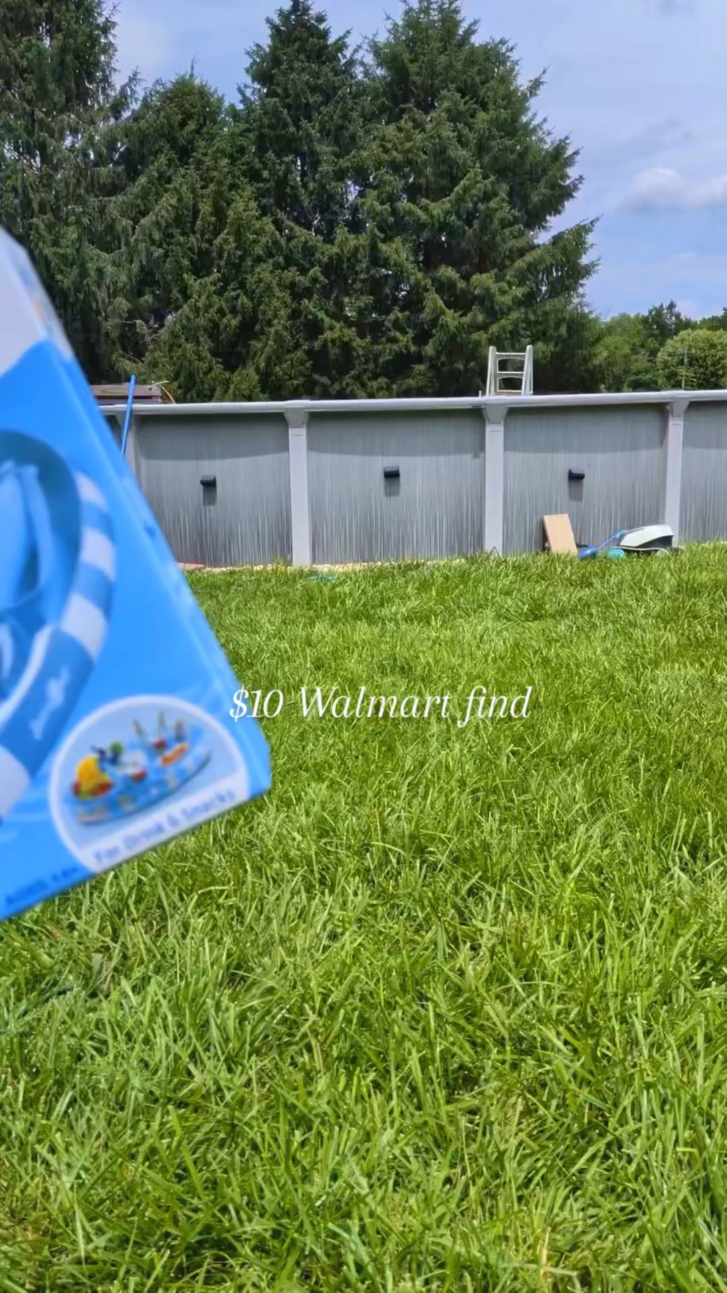 $10 floating snack bar!

#LTKdayinmylife #LTKmomlife