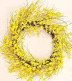 Worth Imports 22" Forsythia Wreath | Amazon (US)