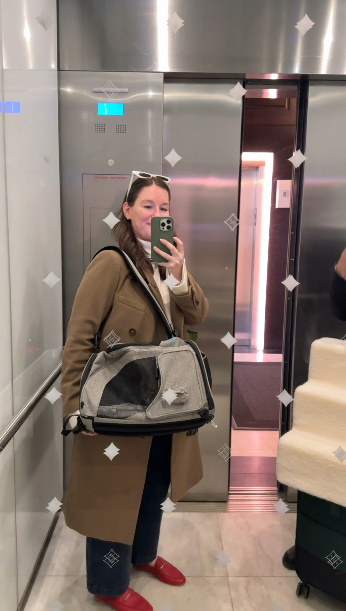 Adventures with Meow 🐈 

 #LTKstorytime #LTKSeasonal #LTKTravel