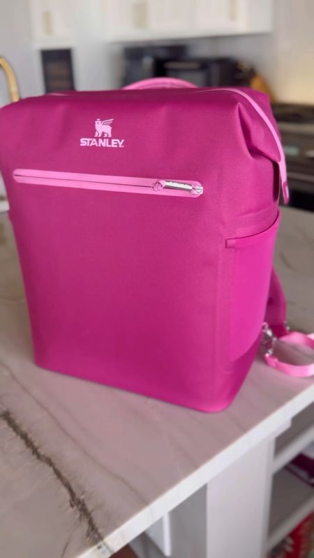 The New Stanley All Day Madeline Midi Cooler holds 20 cans and stays cold for 24 hours! Two pockets for valuables and a hinge top zip opening making it great gift for grads and moms. 

#StanleyPartner @stanley_brand 

#LTKVideo #LTKGiftGuide #LTKFestival