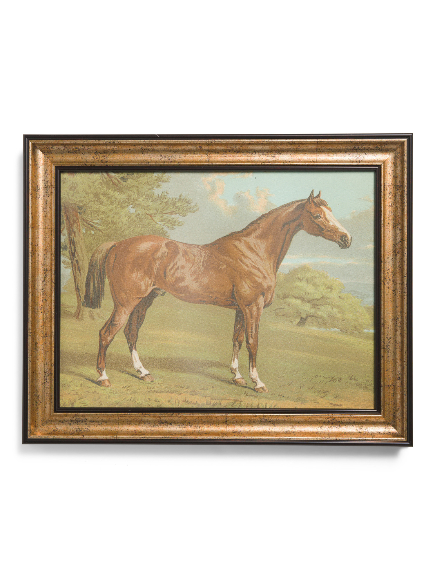 16x20 Chestnut Horse Wall Art | Home | Marshalls | Marshalls