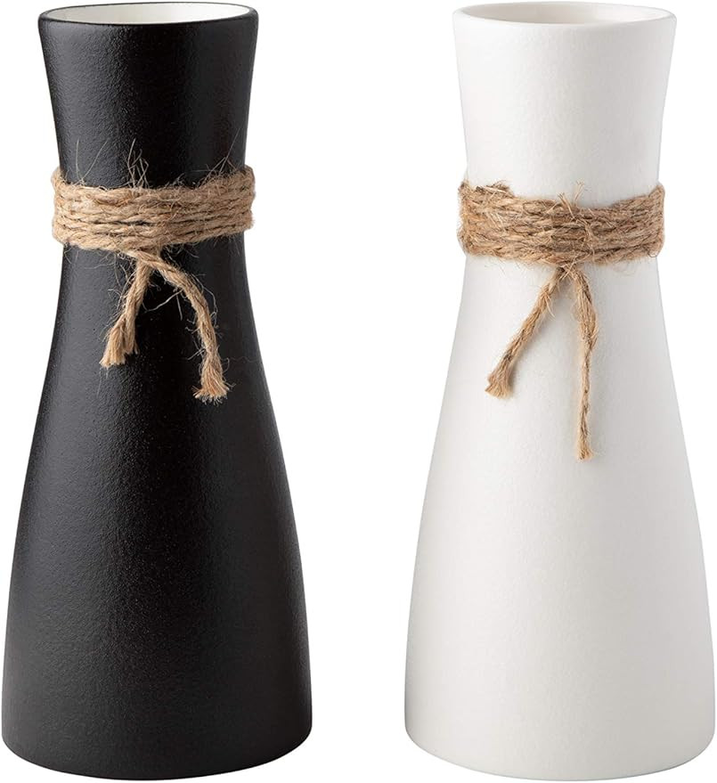 Gaby's Collection Ceramic Vase Set of 2 - Black and White Vases for Decor - Rustic Flower Vase fo... | Amazon (US)