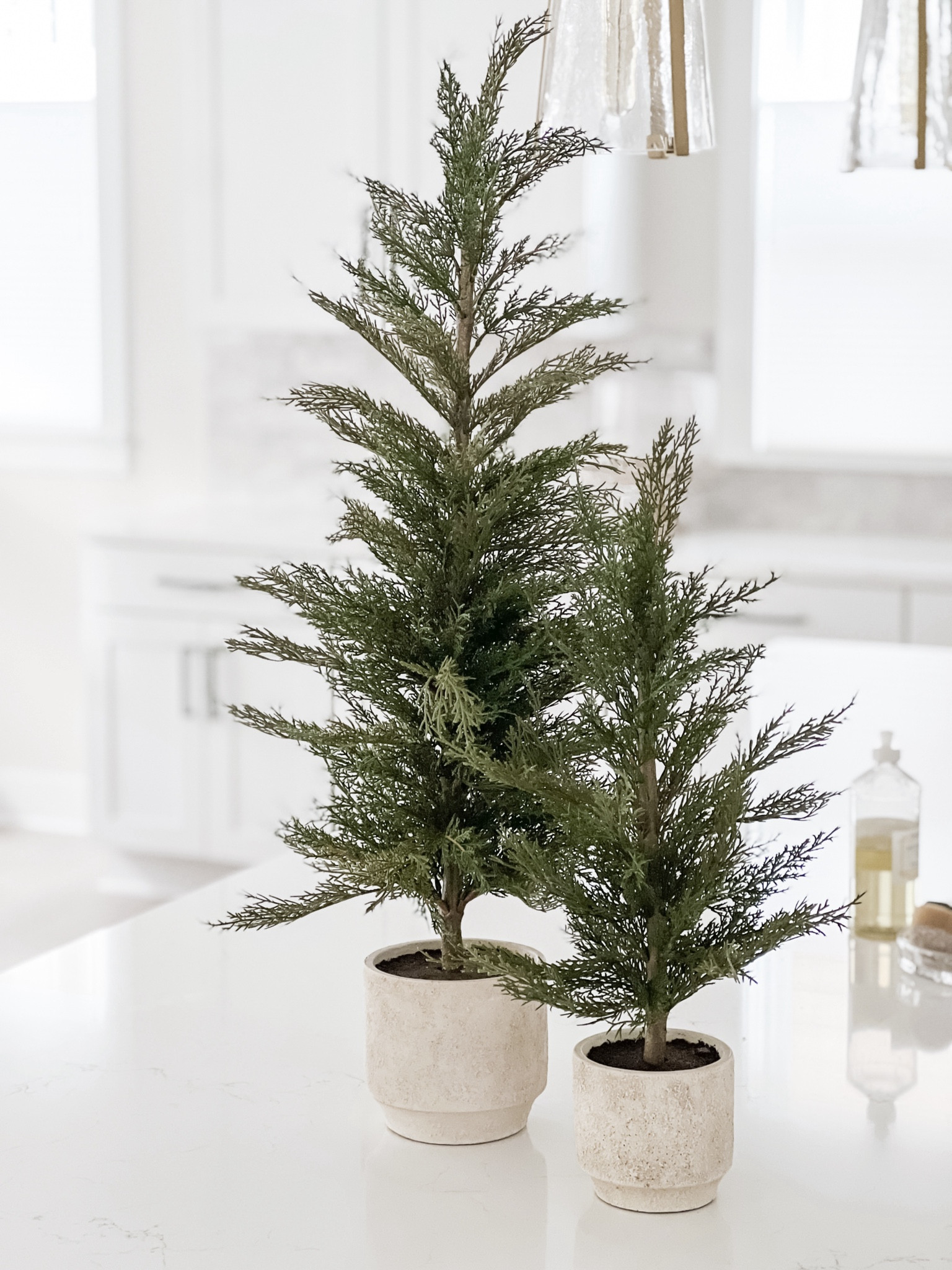 I ordered these CGHunter faux cedar trees (from their Sinclair & Moore collaboration) and they’re so beautiful! Every detail is so well thought out and they look so realistic!

#LTKChristmas

#LTKSeasonal #LTKHoliday