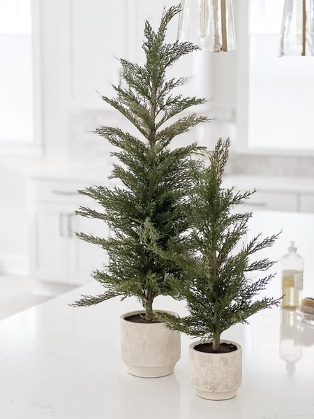 I ordered these CGHunter faux cedar trees (from their Sinclair & Moore collaboration) and they’re so beautiful! Every detail is so well thought out and they look so realistic! I can’t link them here, but I’ve included a few alternatives below. #LTKChristmas

#LTKHoliday #LTKSeasonal