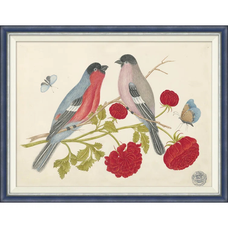 18th Century Floral Bouquets With Birds VI by Soicher Marin | Wayfair North America