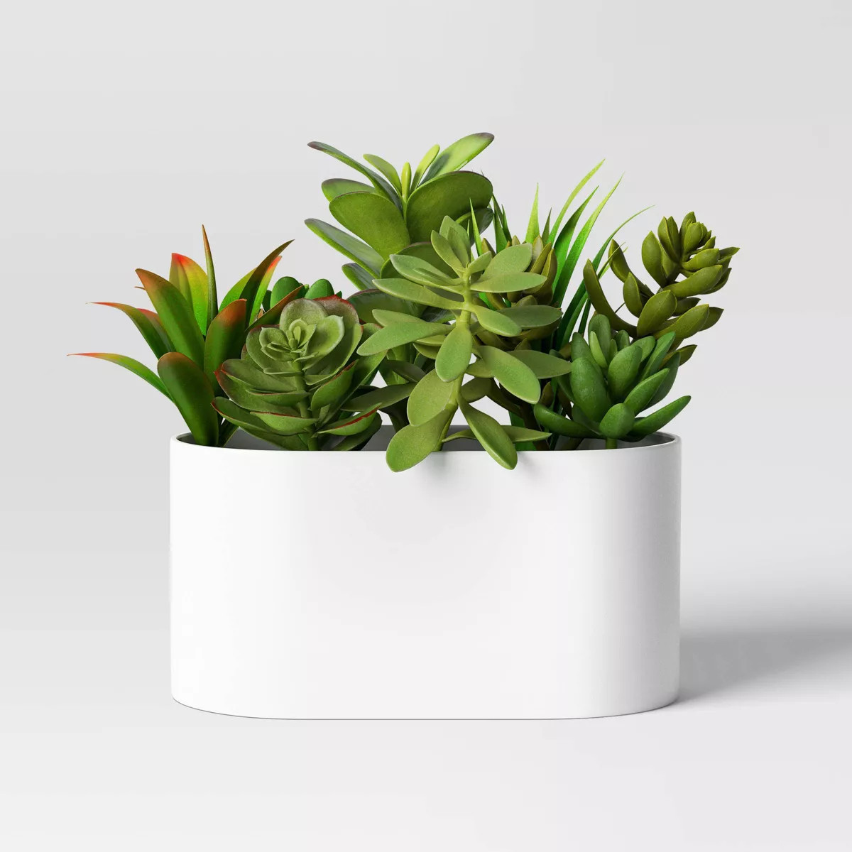Succulent Arrangement in Long White Pot - Room Essentials™ | Target