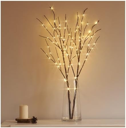 Hairui Lighted Brown Branches Battery Operated with Timer 30IN 100 LED Fairy Lights, Willow Branc... | Amazon (US)