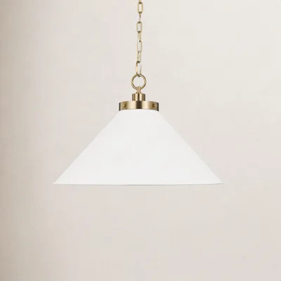 Seyon Single Light Cone Pendant | Birch Lane