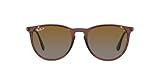 Ray-Ban RB4171 Erika Round Sunglasses, Transparent Dark Brown/Brown Gradient Polarized, 54 mm | Amazon (US)