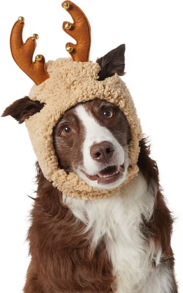 Frisco Sherpa Reindeer Dog & Cat Hat with Bells | Chewy.com