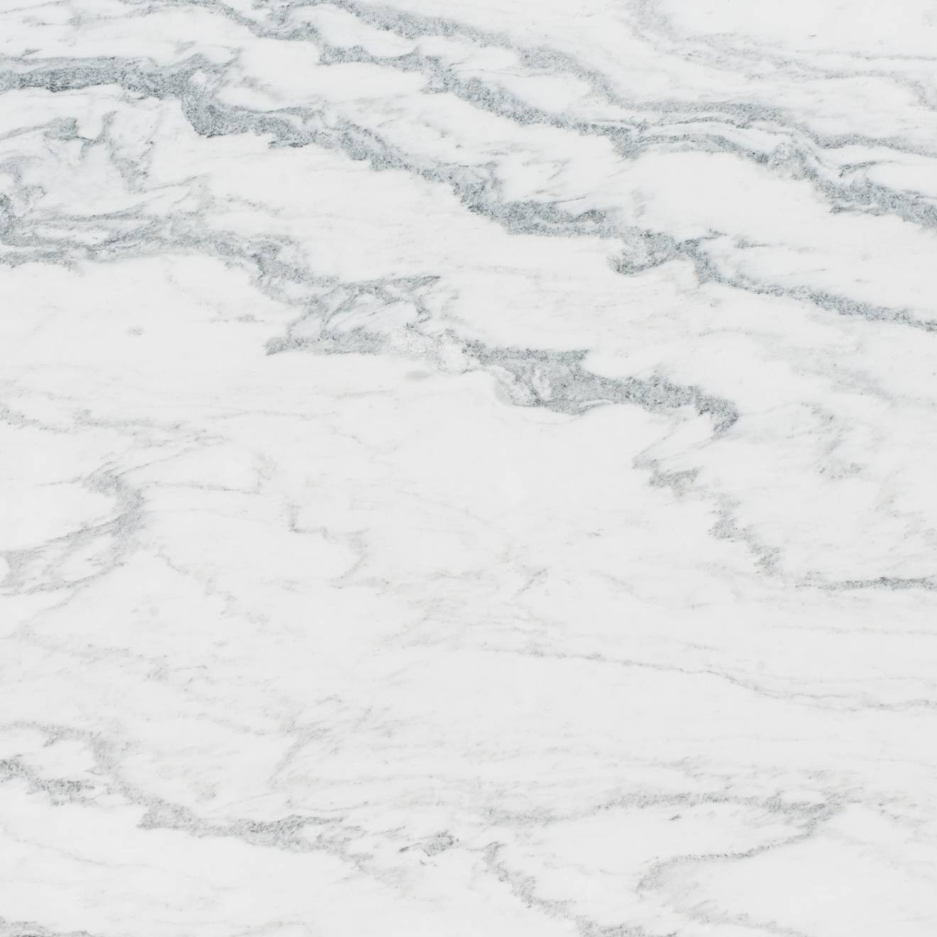 Montclair Danby Marble in 3cm | Bedrosians Tile and Stone