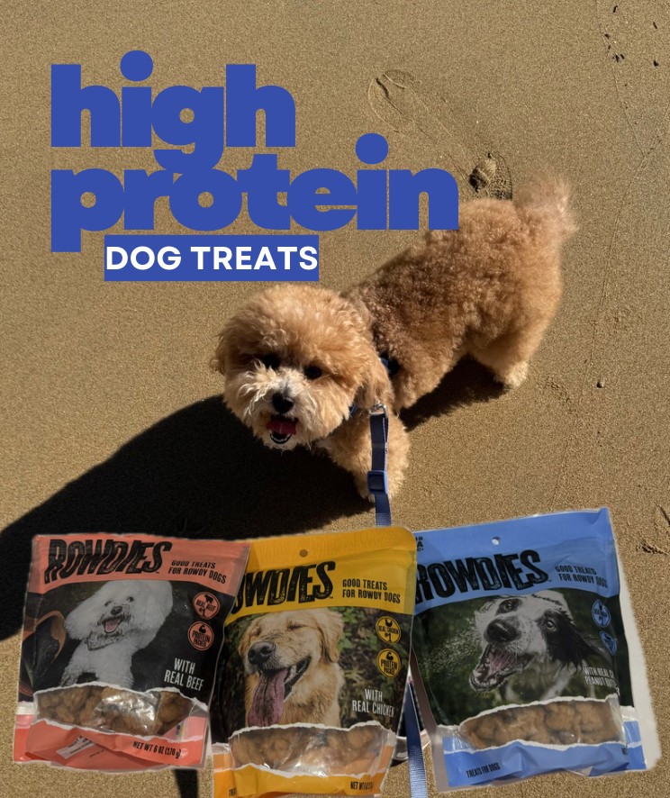 #Ad Franklin's favorite high protein treats! Now available at Target   @RowdiesDogTreats @Target


 #RowdiesDogTreats #RowdiesPartner #GetRowdies #TargetPartner #Target #LTKPet  

 