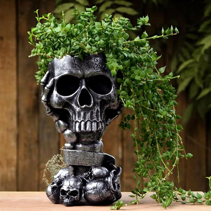 Tall Silver Black | Amazon (CA)