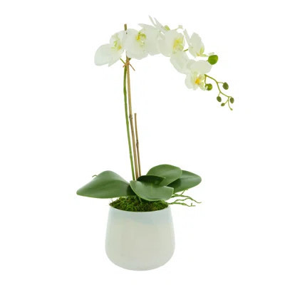 Orchid Floral Arrangements and Centerpieces in Vase | Wayfair North America