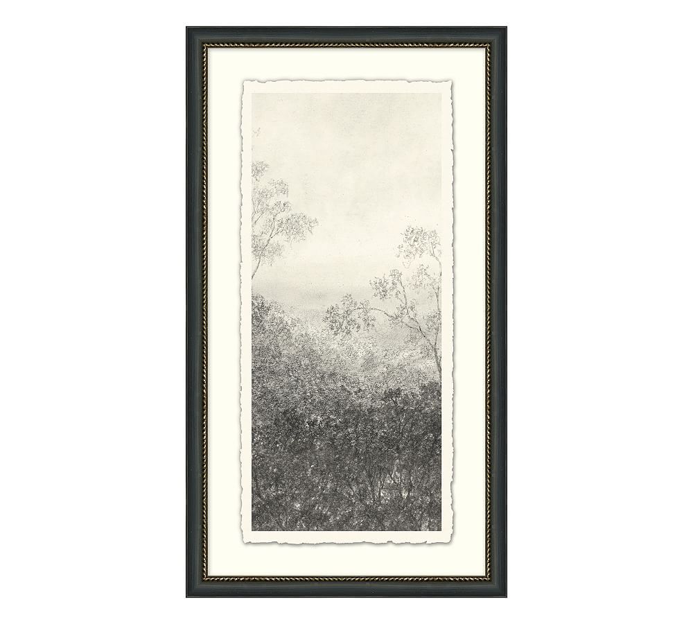 Charcoal VI Tall Trees by Aileen Fitzgerald | Pottery Barn (US)